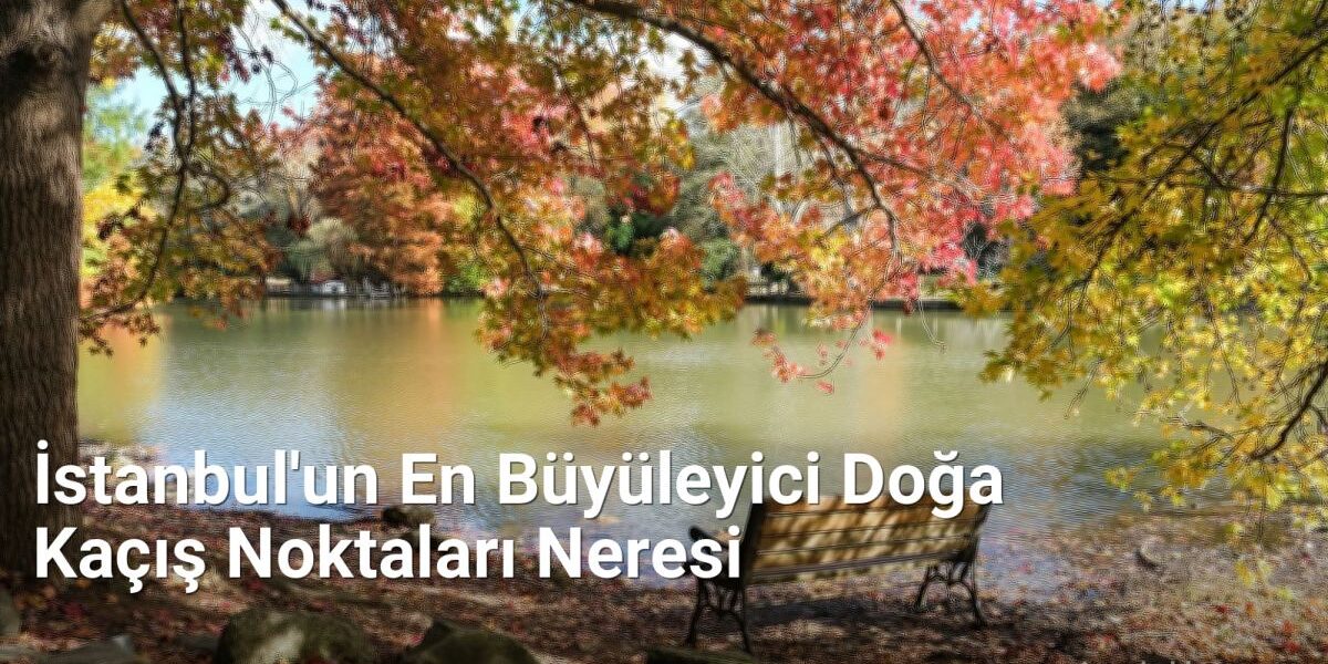 İstanbul'un En Büyüleyici Doğa Kaçış Noktaları Neresi - istanbuldoga.net.tc