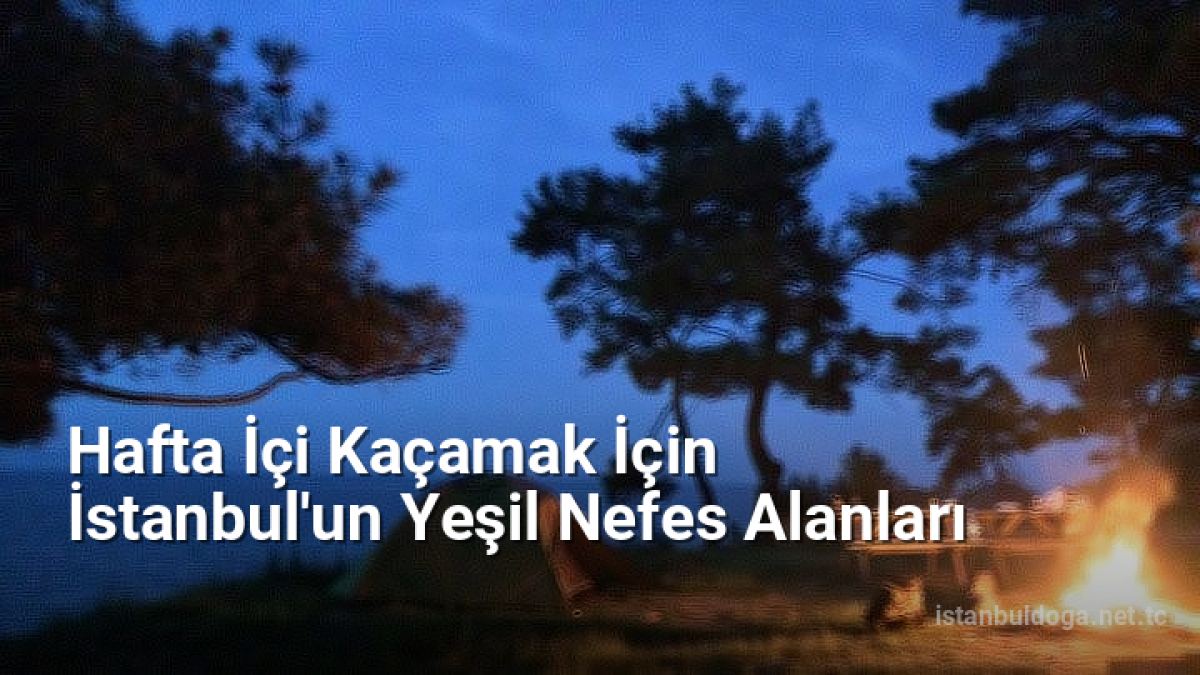 Hafta İçi Kaçamak İçin İstanbul'un Yeşil Nefes Alanları - istanbuldoga.net.tc