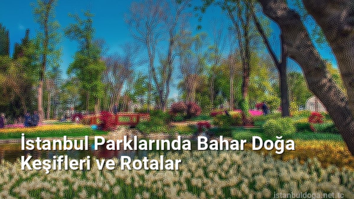 İstanbul Parklarında Bahar Doğa Keşifleri ve Rotalar - istanbuldoga.net.tc