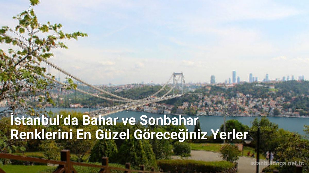 İstanbul’da Bahar ve Sonbahar Renklerini En Güzel Göreceğiniz Yerler - istanbuldoga.net.tc