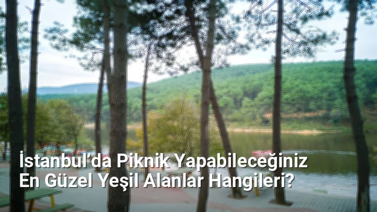 İstanbul’da Piknik Yapabileceğiniz En Güzel Yeşil Alanlar Hangileri? - istanbuldoga.net.tc