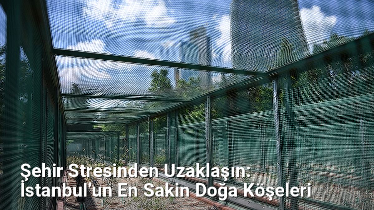 Şehir Stresinden Uzaklaşın: İstanbul’un En Sakin Doğa Köşeleri - istanbuldoga.net.tc