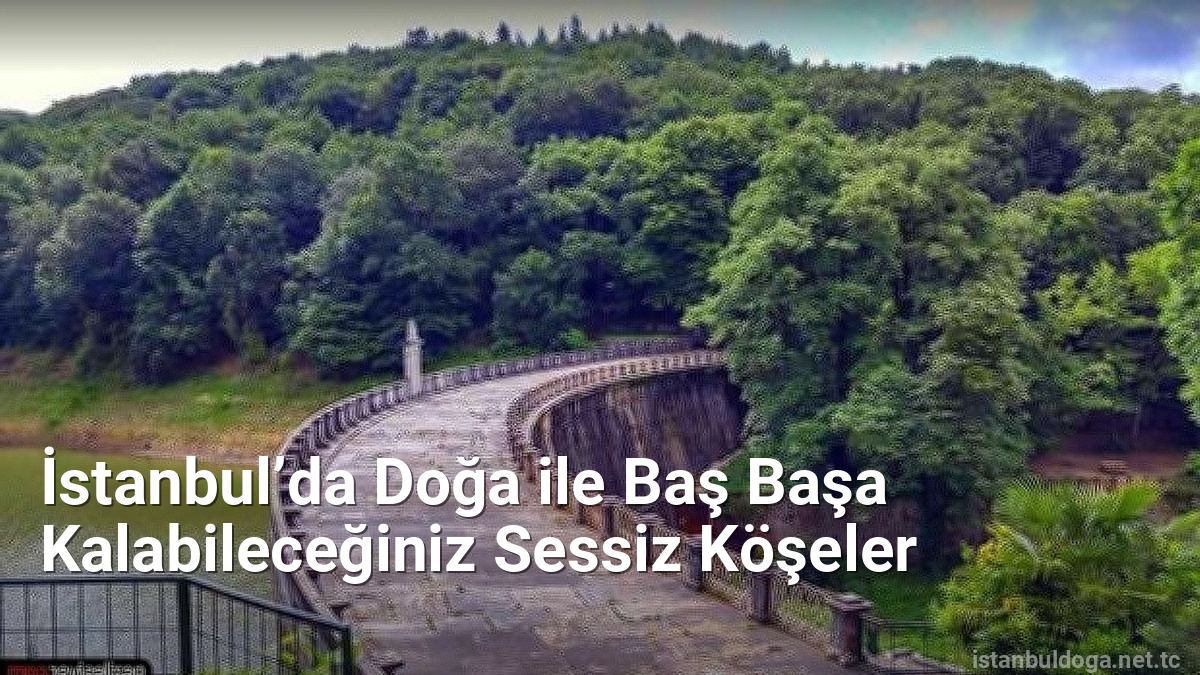 İstanbul’da Doğa ile Baş Başa Kalabileceğiniz Sessiz Köşeler - istanbuldoga.net.tc