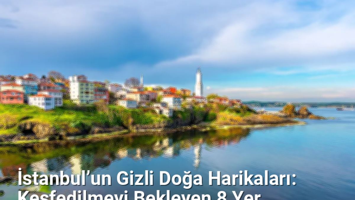 İstanbul’un Gizli Doğa Harikaları: Keşfedilmeyi Bekleyen 8 Yer - istanbuldoga.net.tc