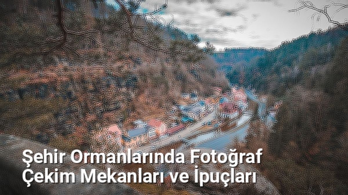 Şehir Ormanlarında Fotoğraf Çekim Mekanları ve İpuçları - istanbuldoga.net.tc